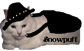 snowpuffetrn.gif (15900 bytes)