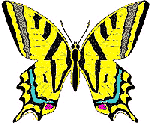 swallowboo.gif (5266 bytes)