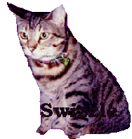 swizzle (18198 bytes)