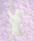 troubclimb.jpg (4464 bytes)