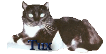 tuxtr.gif (9700 bytes)