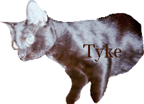 tyketr.gif (15033 bytes)