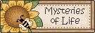 Great Mysteries of Life