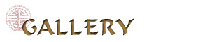 Image Gallery
