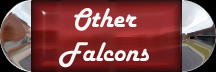 See other Falcons I have owned