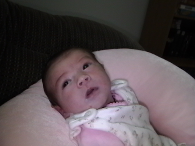 heyguys