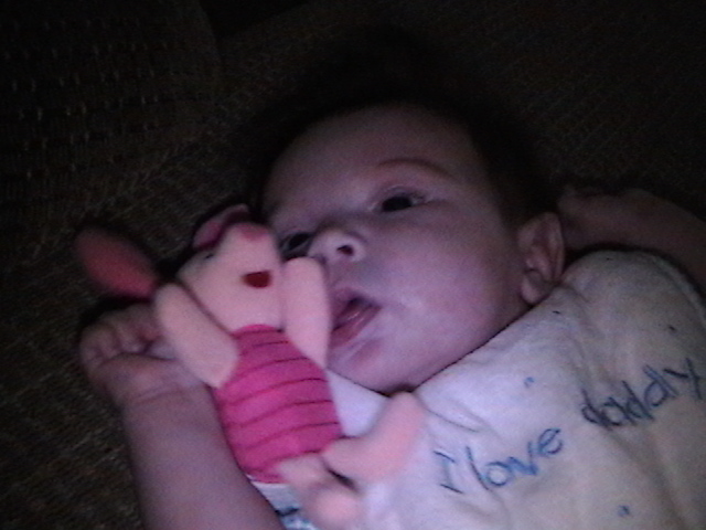piglet
