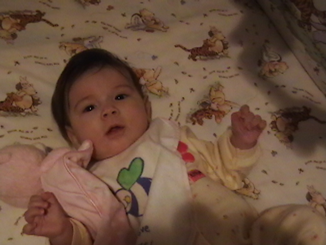 pooh2