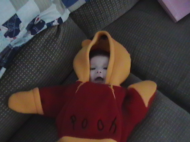 pooh2