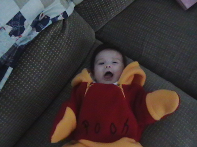 pooh3