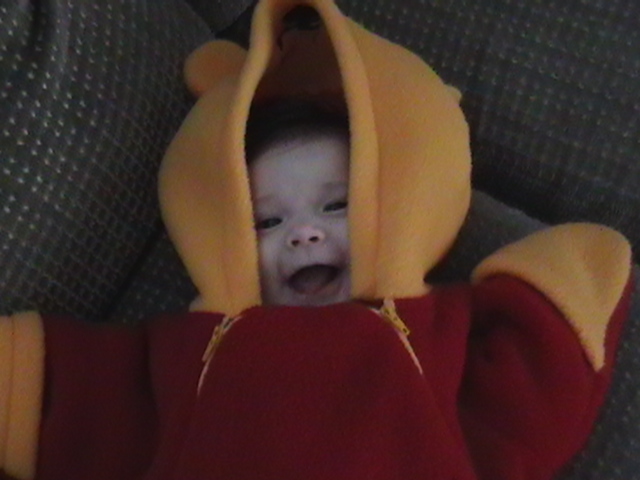 pooh5