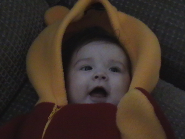 pooh6