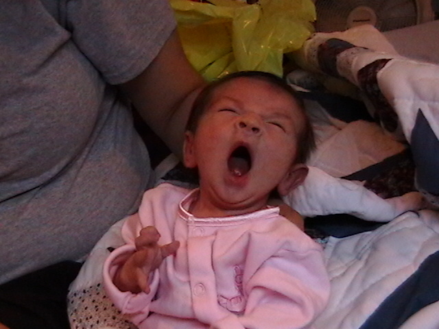 yawn