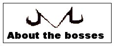 Click here to view and learn about the bosses of the site