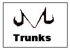 Click here to go and learn about the trunks stroy