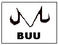 Click here to go and learn what happens in buu saga