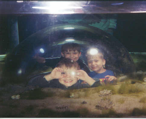 boys 8-01