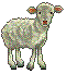 Eli