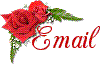 Fuzzybadge38@msn.com