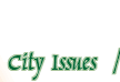 City Issues