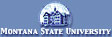 MSU USP