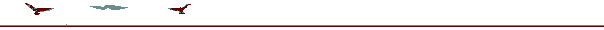 Birds Flying by - over a line
