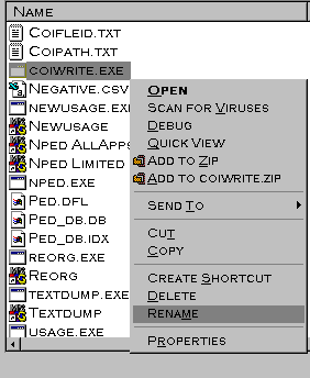 show the file being renamed