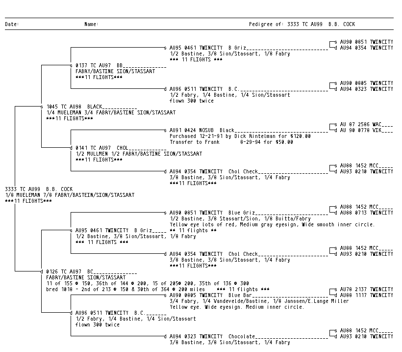 Bird - short or standard pedigree