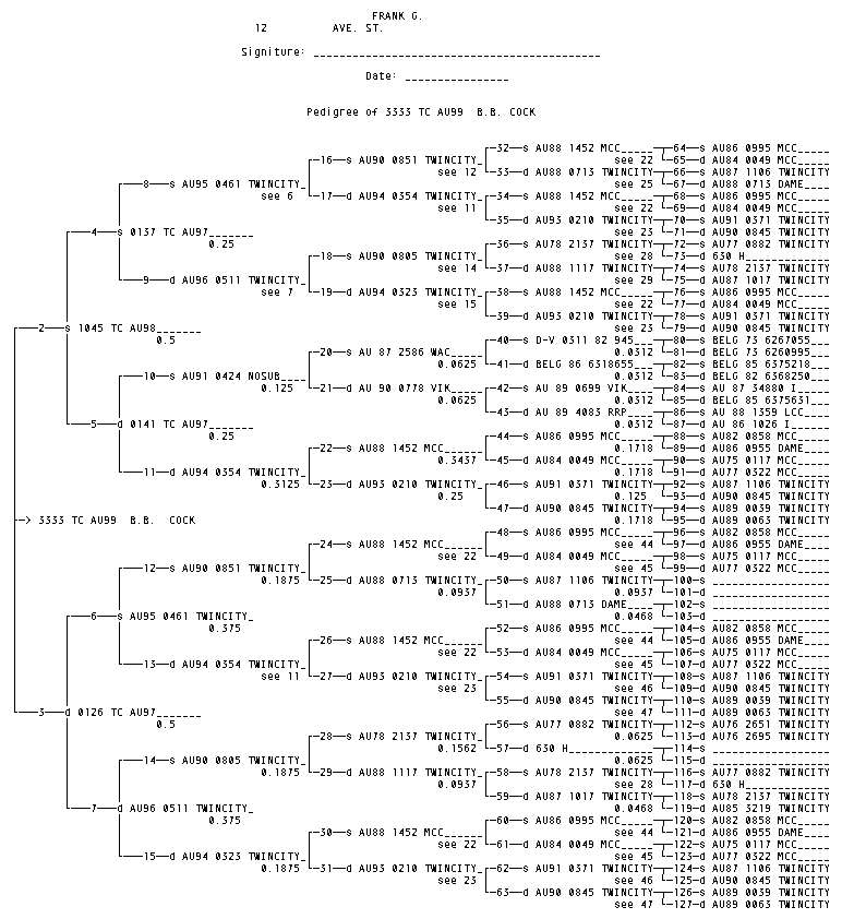 Bird - the long pedigree