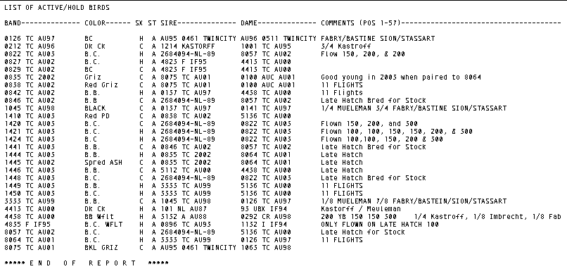 Reports - list active birds