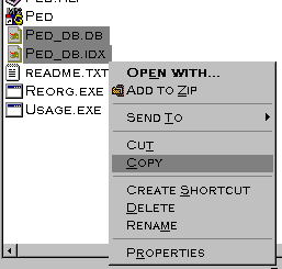 copy the old data base