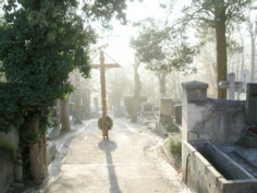 Friedhof