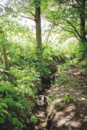 STIERWIESENQUELLE