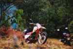 Riderless bike.