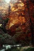 cathedral gorge