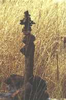 Stone Carn, about 400mm tall.