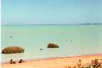 Broome, from the bird obseratory, white buildings on horizon - left.
