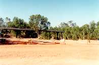 Gregory Downs, New Bridge