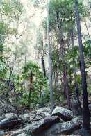 hellhole gorge