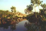 Long pool
