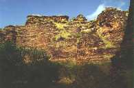 mini bungle bungles