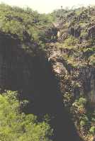 Tomer falls.