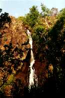 Wangi falls