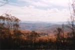 Mountains.