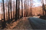 Road to Cabramurra.