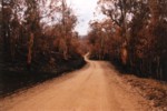 Limestone Rd from Benambra to W.