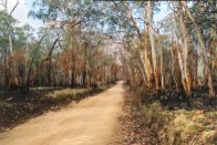 Barry Way Road, close to Jindabyne.