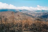 View from Look Out