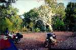 Lawnhill NP Campsite