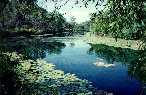 Lawnhill NP pool